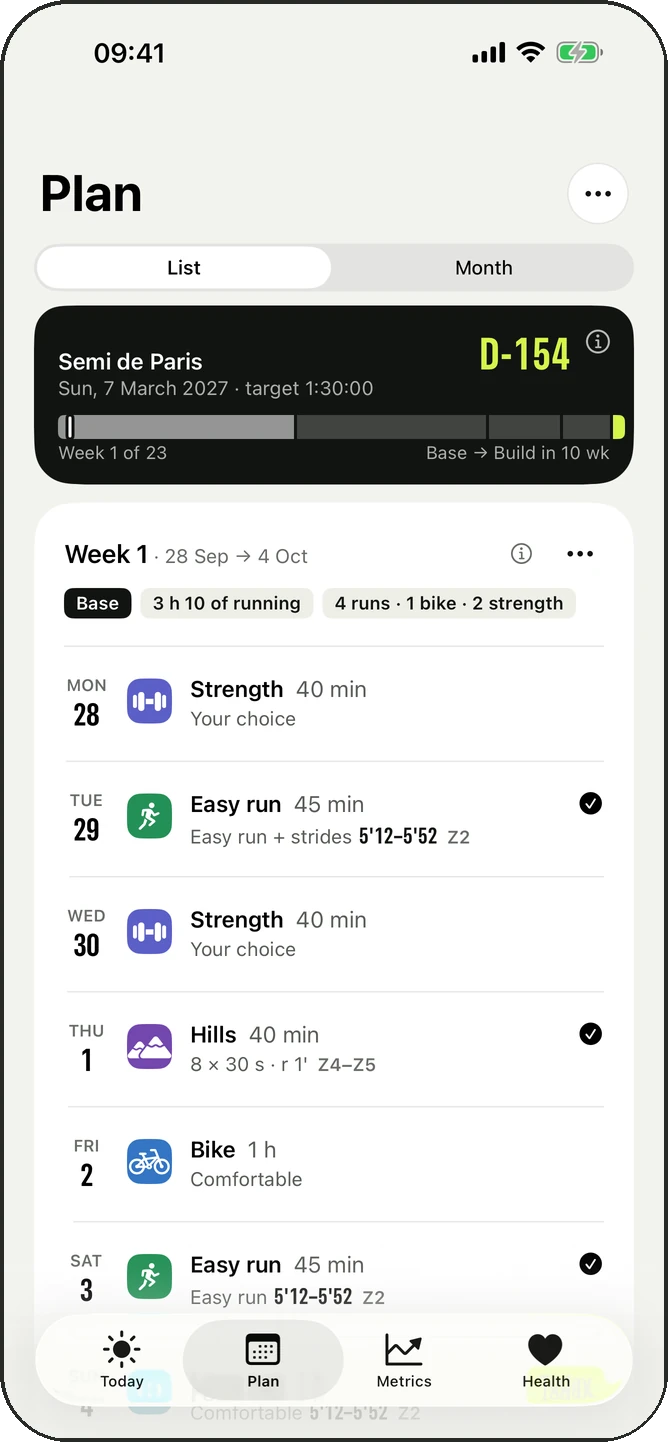 Plan: phase timeline and the week's sessions